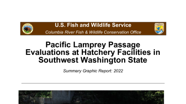 Pacific Lamprey Passage Evaluations at Hatchery Facilities in Southwest Washington State
