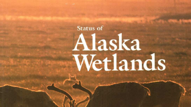 Status of Alaska Wetlands