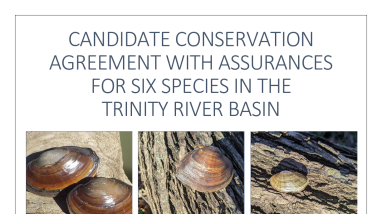 CCAA for six species in the Trinity River Basin