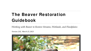 The Beaver Restoration Guidebook