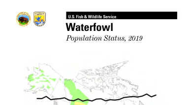 Waterfowl Population Status, 2019