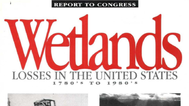 Wetland Losses in the United States, 1780s to 1980s