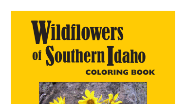 Wildflower Coloring Book