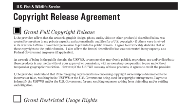 Youth Photography Contest 2023 Entry Form