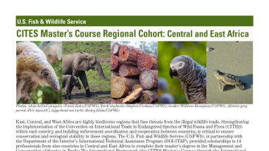 CITES Master's Course: 2022-2023 Regional Cohort Bios (Central Africa) 4.