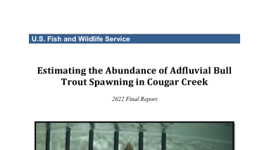 Estimating the Abundance of Adfluvial Bull Trout Spawning in Cougar Creek