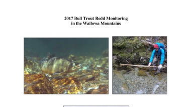 bulltroutfinalreport2017.pdf