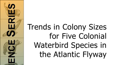 Trends in colony sizes for five colonial waterbird species in the Atlantic flyway