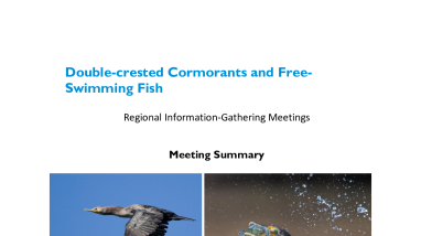 Double-crested Cormorants and Free-Swimming Fish Regional Information-Gathering Meetings