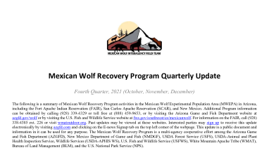 Mexican Wolf Quarterly Report Q4 2021