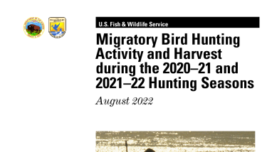 Migratory Bird Hunting Activity and Harvest during the 2020–21 and 2021–22 Hunting Seasons