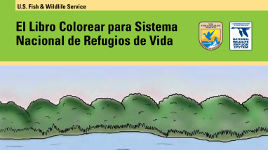 National Wildlife Refuge System coloring book (Spanish)