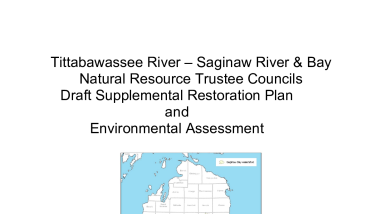 Tittabawassee River – Saginaw River & Bay Natural Resource Trustee Councils Draft Supplemental Restoration Plan and Environmental Assessment