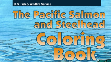 Pacific salmon and steelhead coloring book