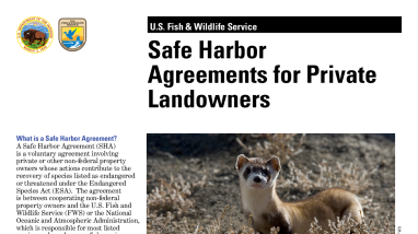 Safe Harbor Agreements for Private Landowners