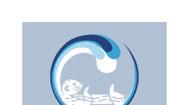 Southeast Sea Otter Stakeholder Report (2020)