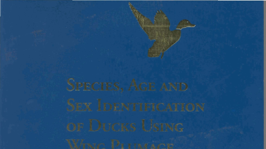 Species, Age and Sex Identification of Ducks Using Wing Plumage