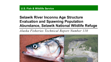 Selawik River Inconnu Age Structure Evaluation and Spawning Population Abundance, Selawik National Wildlife Refuge.pdf