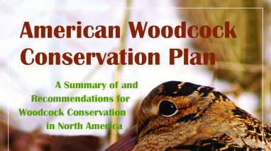 American Woodcock Conservation Plan