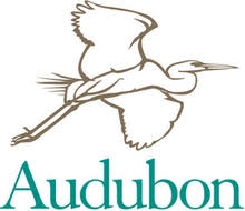 Outline of long-legged bird. The word Audubon is spelled underneath in green