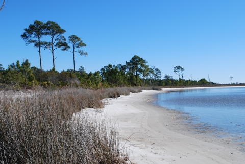 Shoreline at Bon Secour Refuge