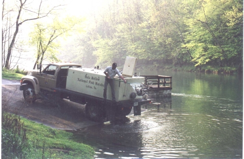 Trout stocking in tailwater