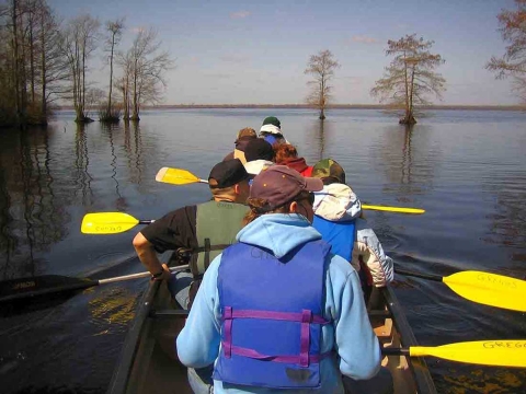 Six boaters in personal flotation devices navigate a body of water with bare trees emerging from open water