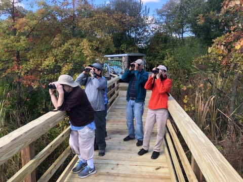 Birding at Fannie Stebbins