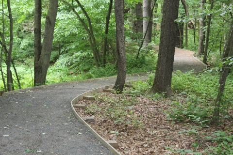 Fort River Birding and Nature Trail