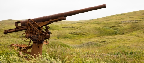 Rusted remains of Japanese 75mm gun 