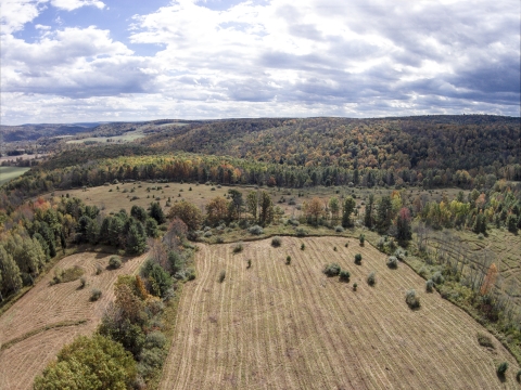 Landscape protected by the Landscape Conservation Planning Work Group