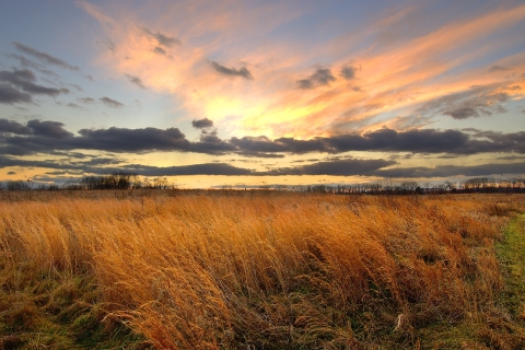 Sunset over grasslands at Occoquan Bay NWR