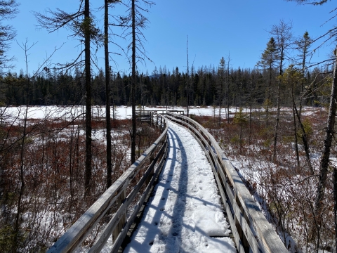 Mud Pond Trail at Pondicherry