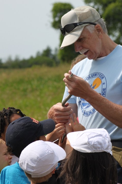 Volunteer led interpretive walk