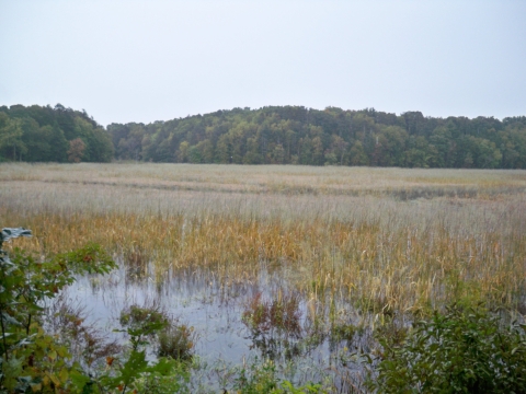 Whalebone Cove Connecticut