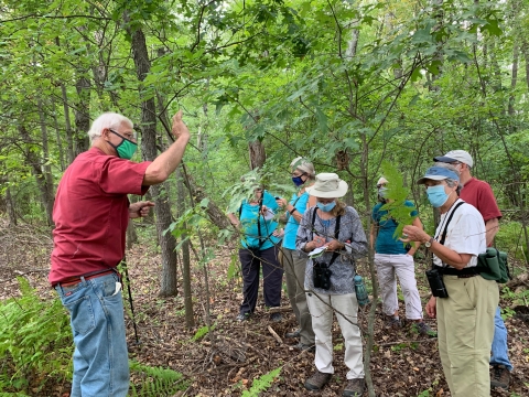 Friends of Fannie Stebbins Fern Walk