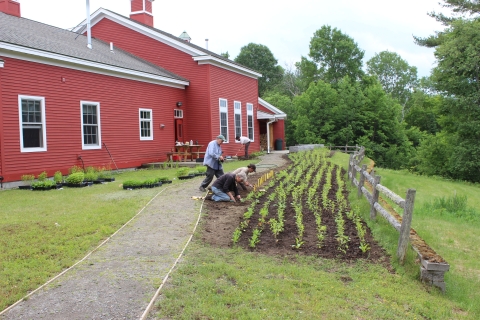 Friends of Nulhegan Planting Pollinator Garden at Visitor Center