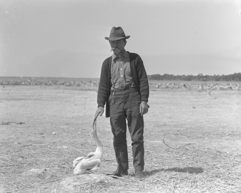 Paul Kroegel is widely viewed as the first manager at what would become the first refuge, Pelican Island National Wildlife Refuge in Florida.