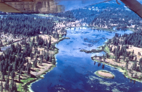 Aerial photo of wetlands on Turnbull National Wildlife Refuge