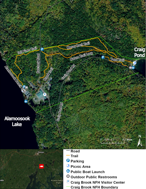 Aerial view of Craig Brook NFH property with green boundary layer, orange trail layers, and several points of interest.