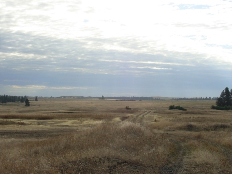 Stubblefield Lake Trail, provides an enjoyable long hike on an unpaved service road through the beautiful Palouse prairie.