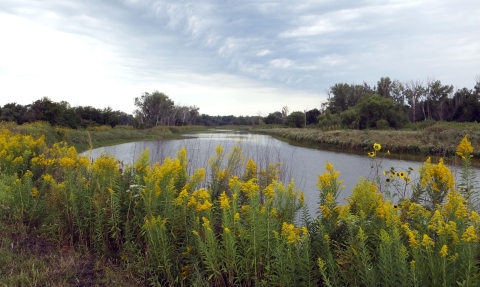 A landscape shot of the Boyer Chute off the Missouri River with wildflowers in the foreground.