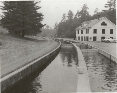 Nashua NFH old two story hatchery building and uncovered raceways