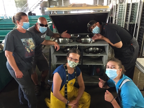 A group of masked volunteers gather around the golf cart used to transport salmon eggs into the nursery, giving the photographer a thumbs-up.