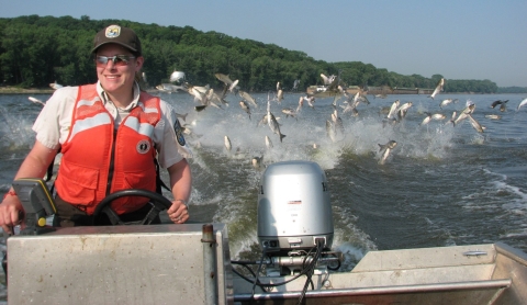 A person in a brown uniform and orange flotation device steers a boat through silver jumping fish