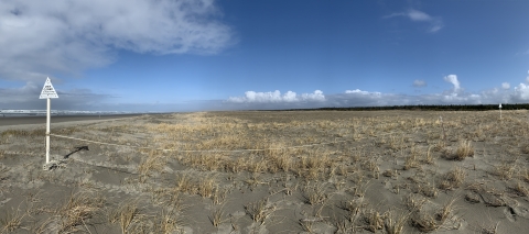 A scrubby beach landscape with a barrier and sign reading "Area closed"