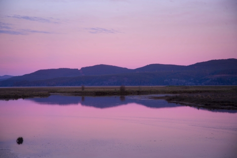 Purple mountains against a pink sky reflected in calm water.