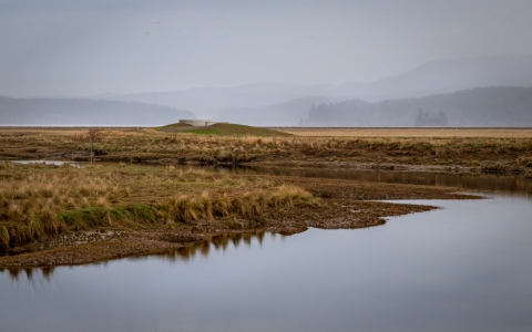 A distant concrete structure surrounded by wetlands underneath a misty and overcast sky.