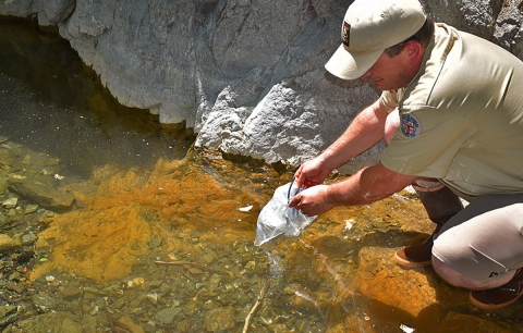 A uniformed man dips a plastic bag into a creek