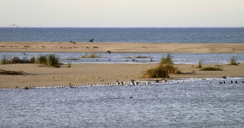 a sandy beach 